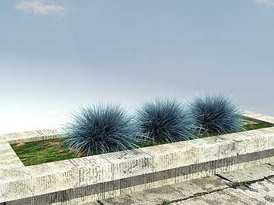 现代花坛花钵 绿化植物 景观植物