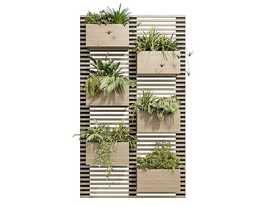 现代植物架
