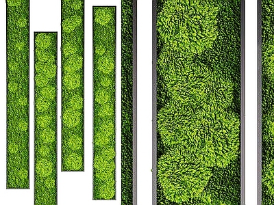现代植物墙