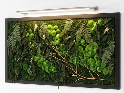 现代植物墙 墙饰挂