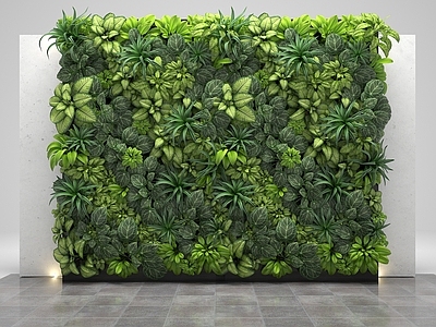 现代绿植墙