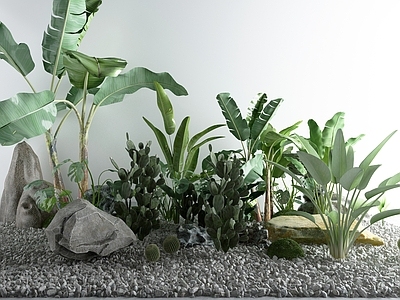现代花坛花钵