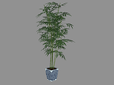 新中式盆栽