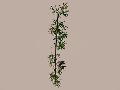 现代竹子