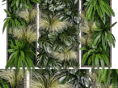 现代绿植墙