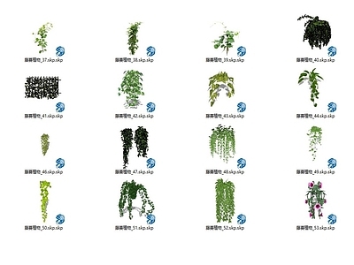 现代绿植墙 藤蔓爬墙植物