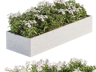 现代花坛花钵