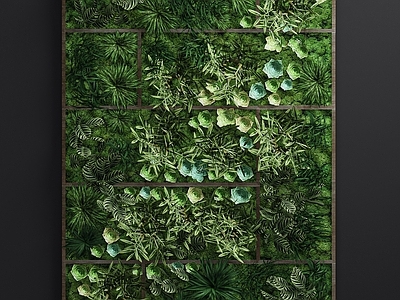 现代绿植墙