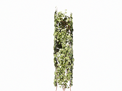 现代绿植墙  绿植墙
