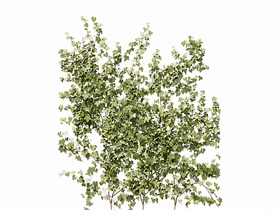 现代绿植墙