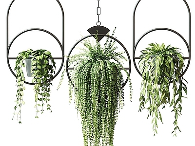现代绿植盆栽