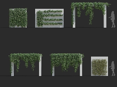 现代绿植墙 鸡血藤 常春藤 花草花卉 植物