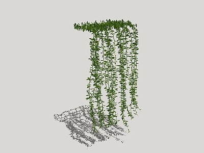 现代绿植墙