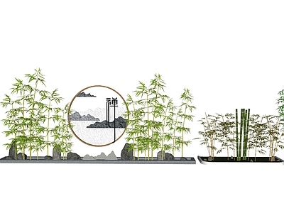 新中式盆栽 竹子 景观禅意 植物
