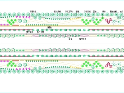 道路标准段绿化图