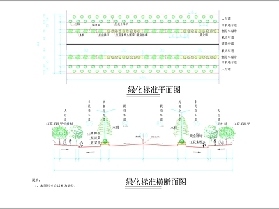 道路绿化标准平面及横断面图