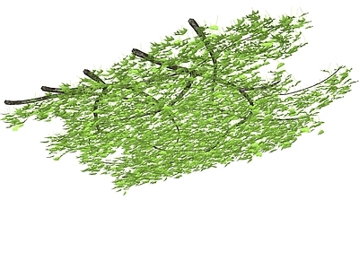现代绿植墙 天花