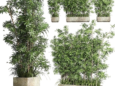 现代花坛花钵
