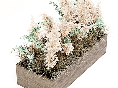 现代花坛花钵