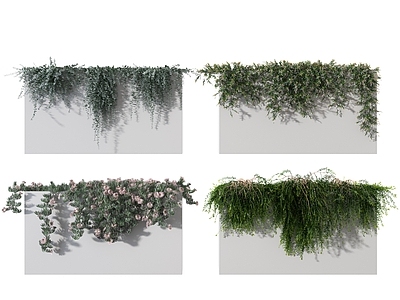 现代绿植墙 盆栽 盆景 植物 绿植 灌木 植物堆 绿植堆