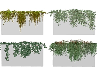 现代盆栽 盆景 植物 绿植 灌木 植物堆 绿植堆 绿植墙