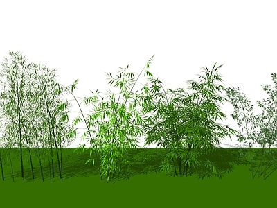 现代竹子