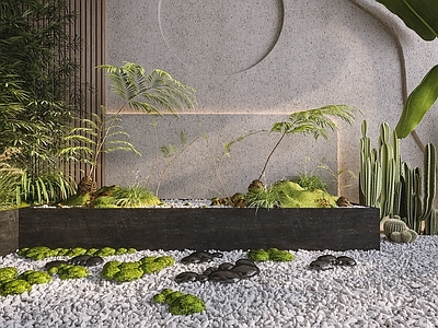 现代花坛花钵 植物景观 仙人掌