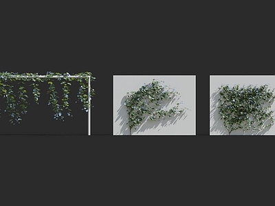 现代绿植墙