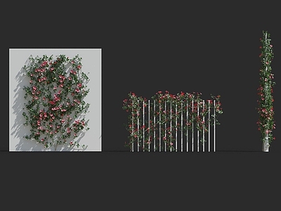 现代绿植墙 花卉