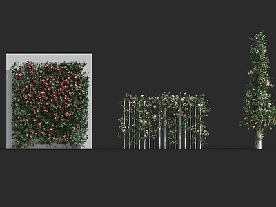 现代绿植墙