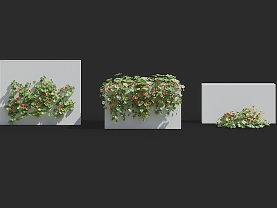 现代绿植墙