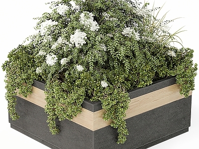 现代花坛花钵