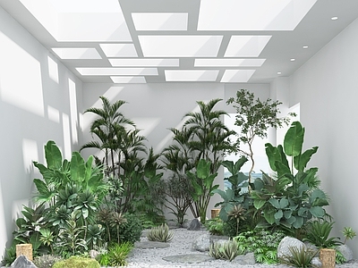 现代植物堆 植物