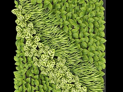 现代绿植墙