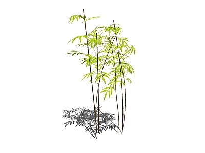 现代竹子