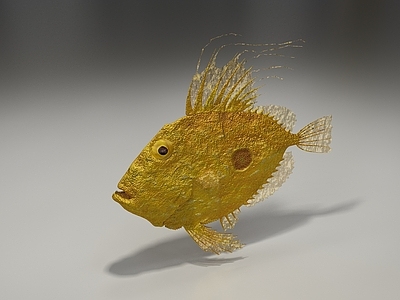 水生类动物