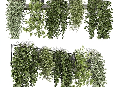 现代绿植盆栽 吊篮