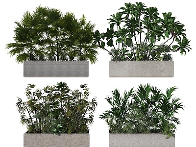 现代花钵 植物 绿植 灌木 植物堆 绿植堆