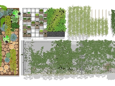 现代藤蔓藤本 爬藤 绿植墙 藤本植物 垂直绿化 绿植墙