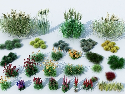 现代花草
