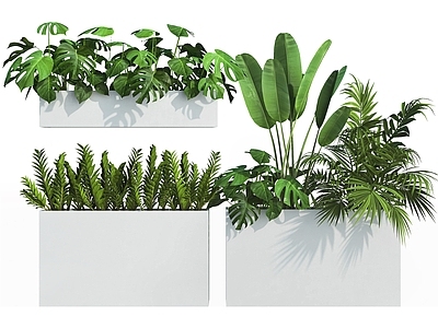 现代花坛 植物池 绿植景观 盆景