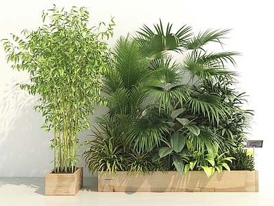 现代花坛