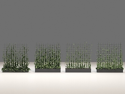现代绿植墙 藤曼 景观藤曼