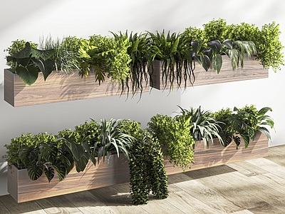 现代植物花坛