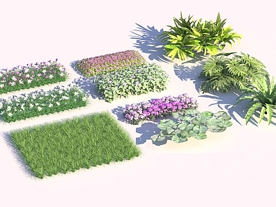 现代花草
