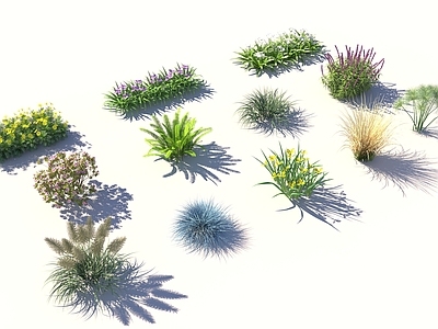 现代花草