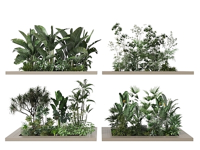 现代植物堆