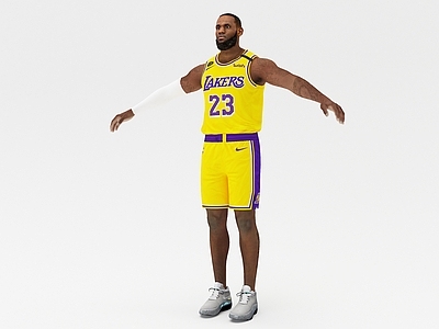 现代勒布朗詹姆斯 NBA篮球运动员