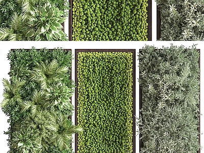现代绿植墙 植物墙