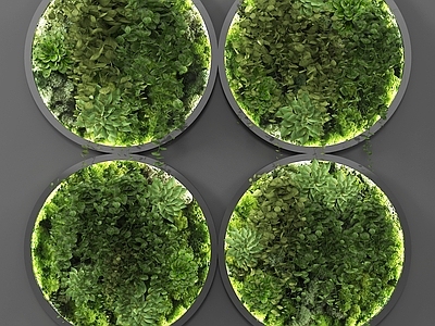 现代植物墙